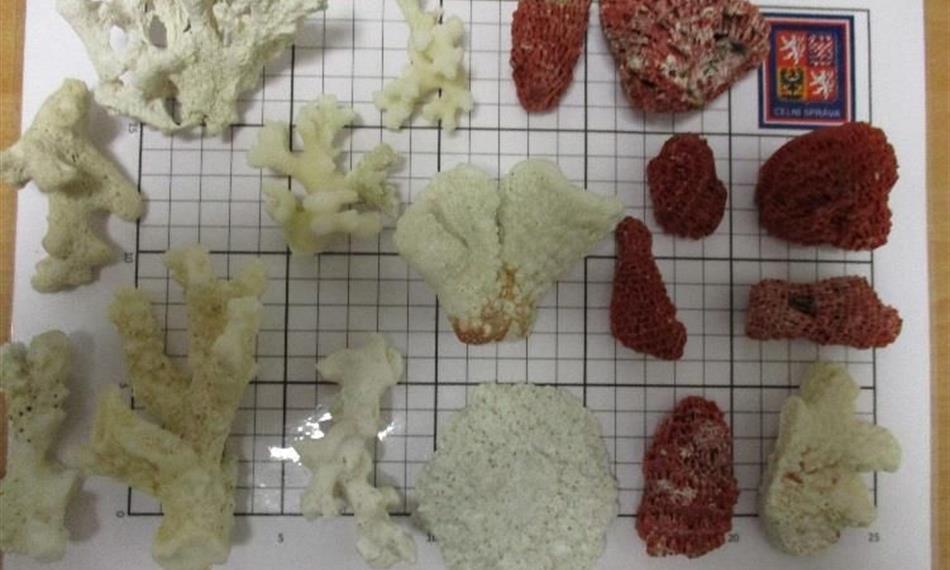 2017-10-16-1423foto 4.jpg